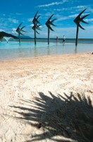 Cairns esplanade lagoon